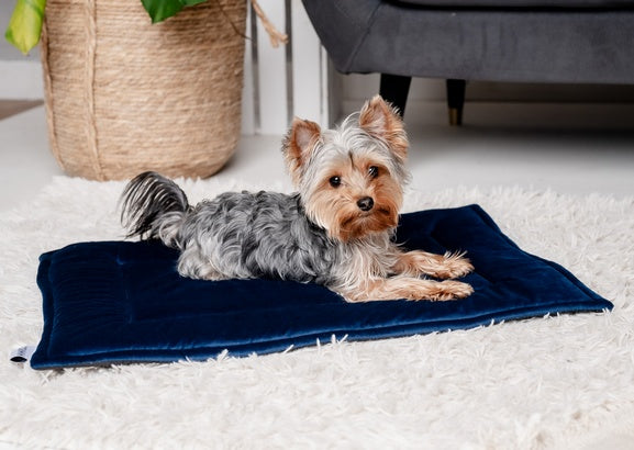 MIMIKO Pets Mata Velvet 70x50cm granat - Image 3