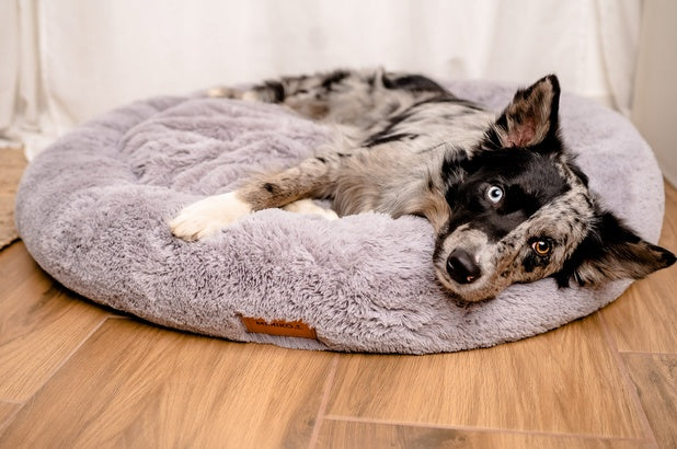 MIMIKO Pets Legowisko Shaggy okrągłe XXL 100cm szare - Image 3