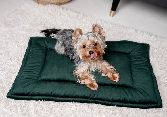 MIMIKO Pets Mata Velvet 70x50cm butelkowa zieleń - Image 3