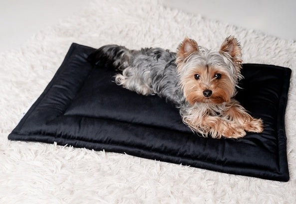 MIMIKO Pets Mata Velvet 70x50cm czarny - Image 3