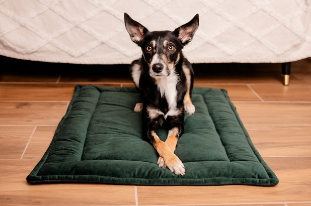 MIMIKO Pets Mata Velvet 100x70cm butelkowa zieleń - Image 2