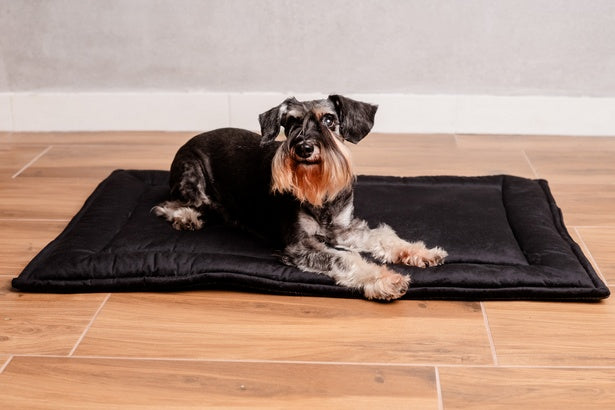 MIMIKO Pets Mata Velvet 100x70cm czarny - Image 3