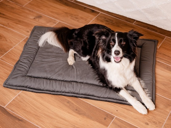 MIMIKO Pets Mata Velvet 100x70cm grafit - Image 3