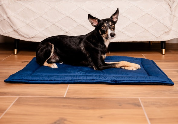 MIMIKO Pets Mata Velvet 100x70cm granat - Image 3