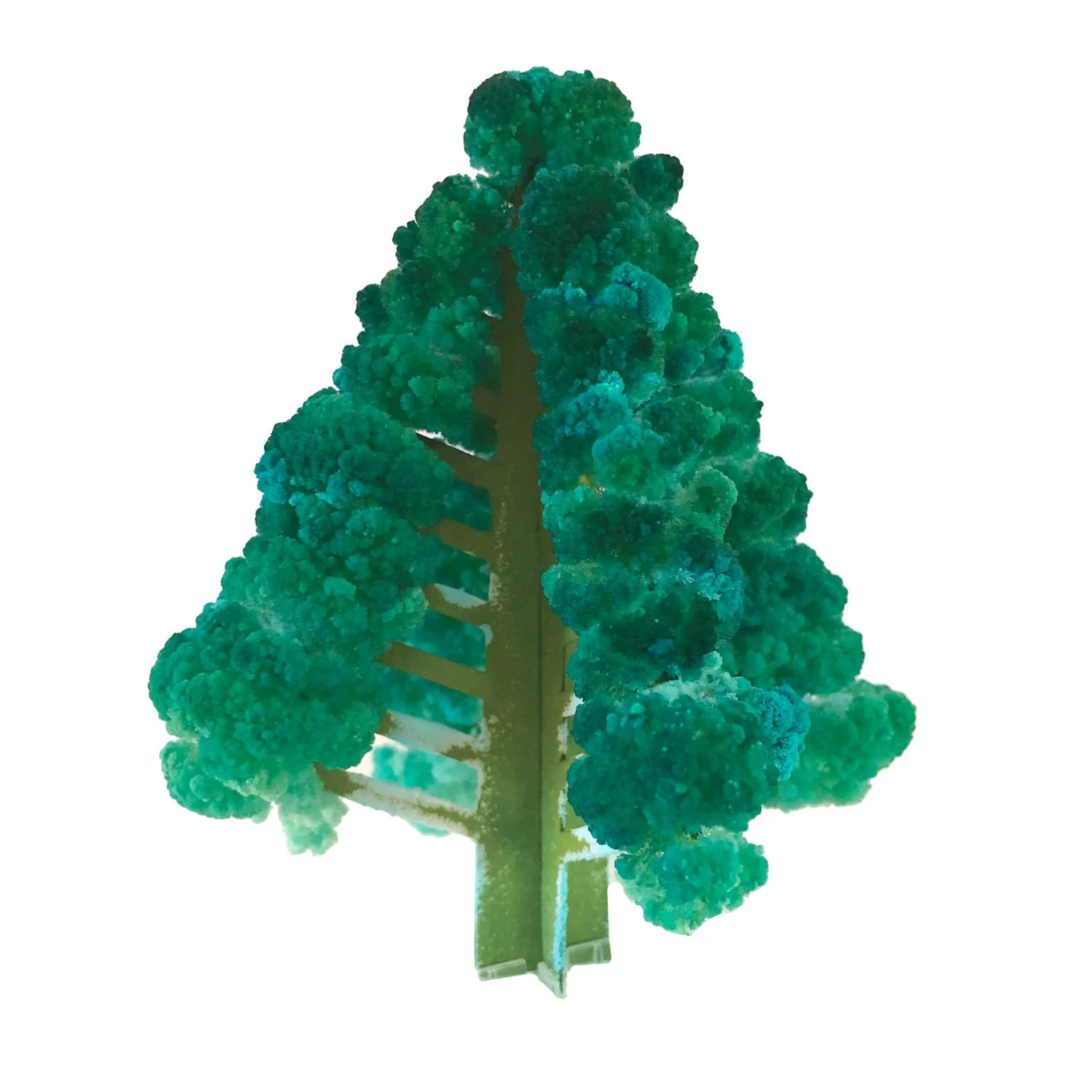 Crystal Growing Balsam Fir - Image 2