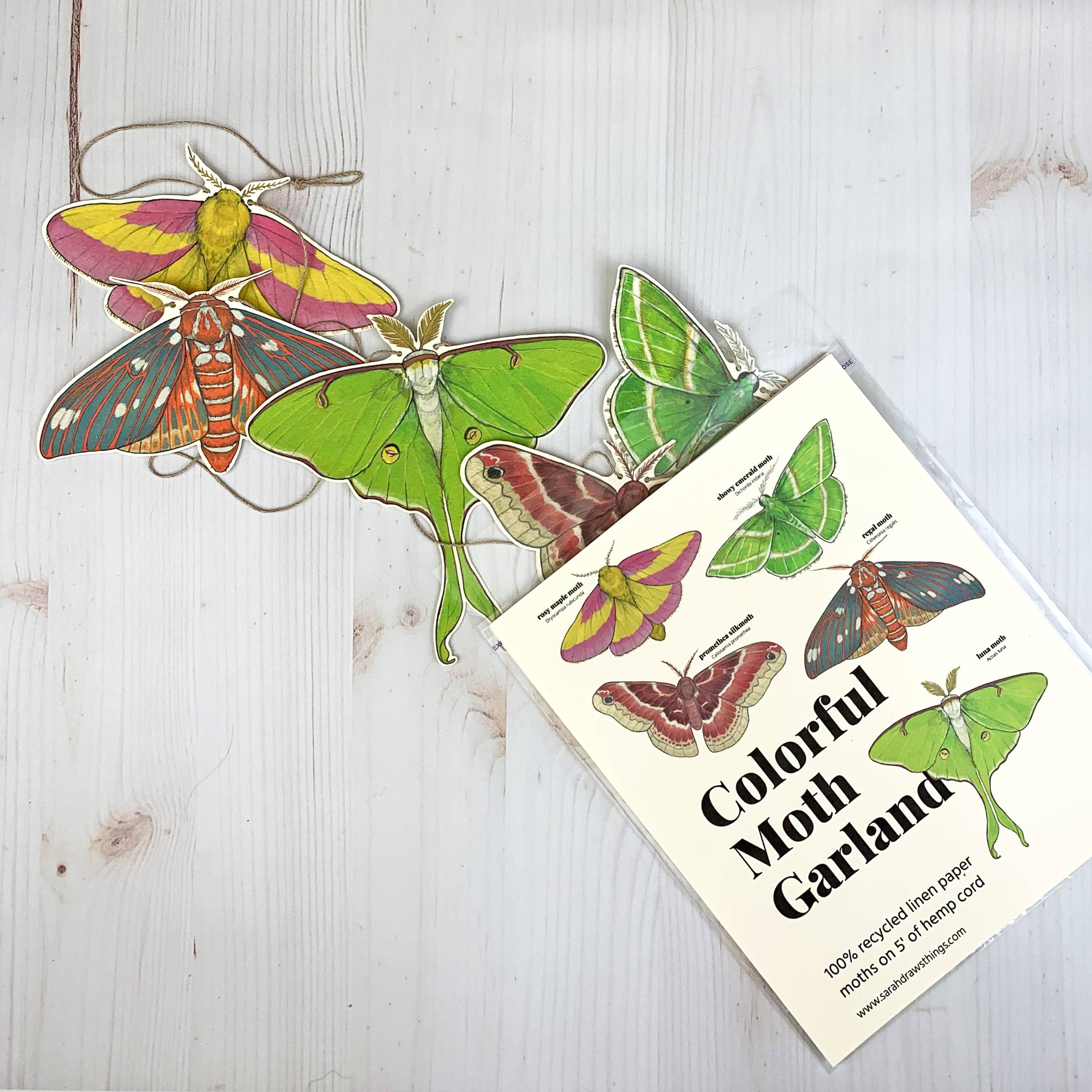 Colorful Moth Illustrated Garland - Image 1