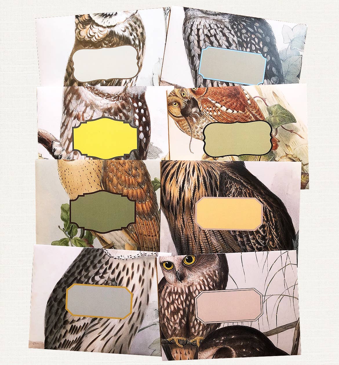 Boxed Set of 8 Vintage Owl Greeting Cards - Image 3