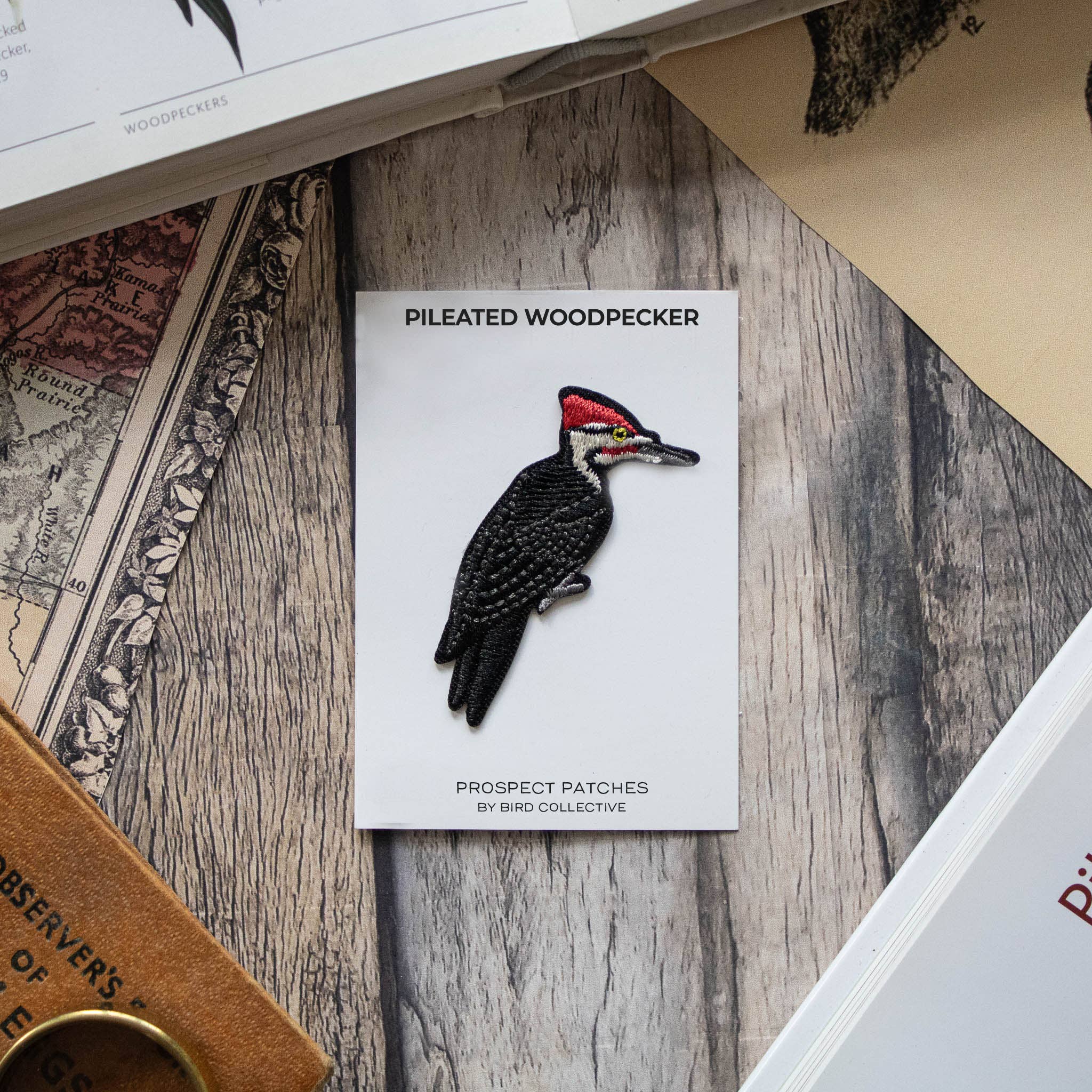 Pileated Woodpecker Patch - Image 3