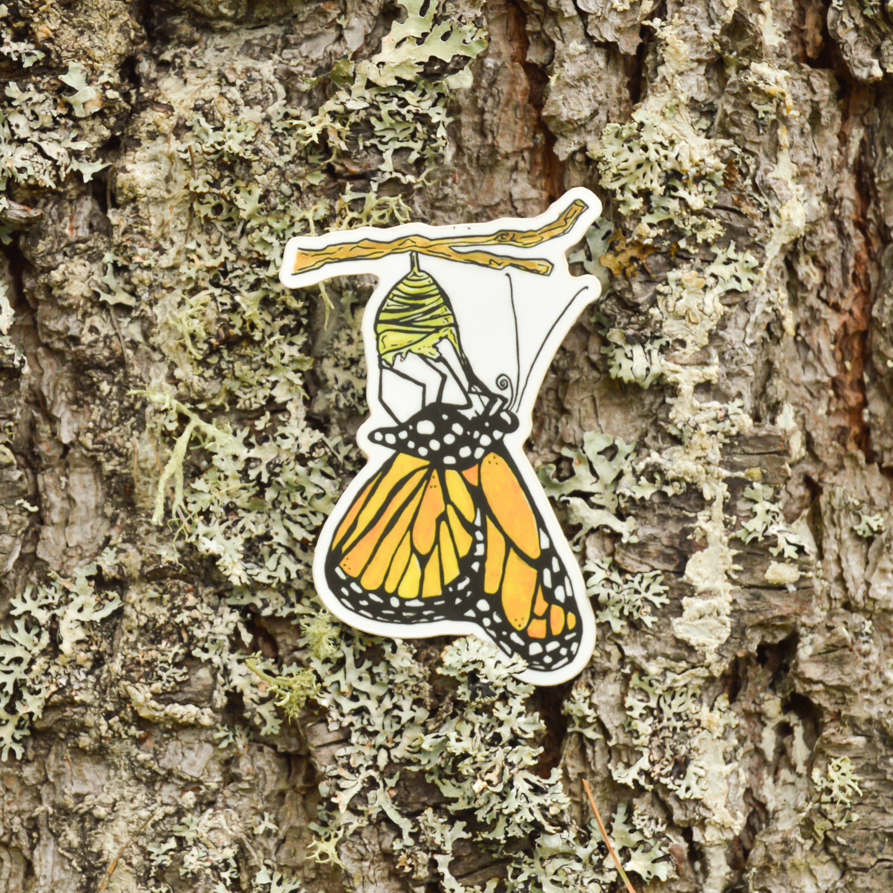Monarch Butterfly Emerging Sticker - Image 2
