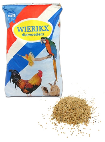 Wierikx Parakeet