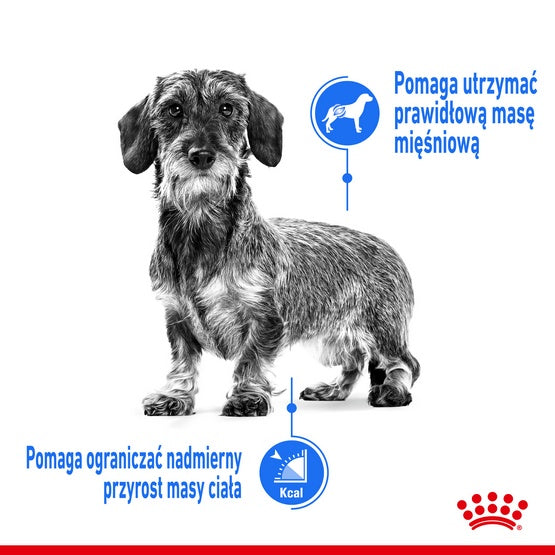 Royal Canin Mini Light Weight Care karma sucha dla psów dorosłych, ras małych z tendencją do nadwagi 3kg - Image 3