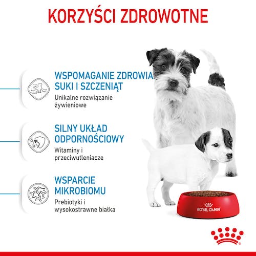 Royal Canin Mini Starter Mother&Babydog karma sucha dla szczeniąt do 2 miesiąca i suk karmiących ras małych 1kg - Image 3