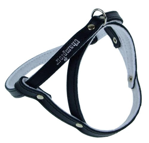 Champion Szelki 40 czarne [SD] - Image 1