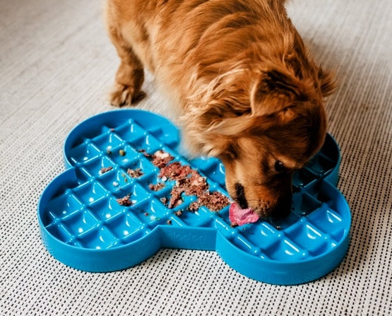 SloDog slow feeder plate - spokojne karmienie bez frustracji - Image 3