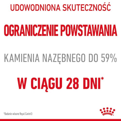 Royal Canin Dental Care karma sucha dla kotów dorosłych, redukująca odkładanie kamienia nazębnego 1,5kg - Image 2