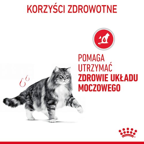 Royal Canin Urinary Care karma sucha dla kotów dorosłych, ochrona dolnych dróg moczowych 2kg - Image 3