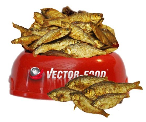 Vector-Food Suszona rybka (sardynka) 100g - Image 1