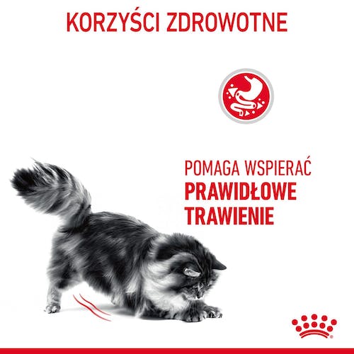 Royal Canin Digestive Care karma sucha dla kotów dorosłych, wspomagająca przebieg trawienia 400g - Image 3