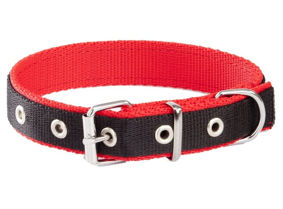 Dingo Obroża taśma polipropylenowa podwójnie zszywana 2,5cm/50cm czarno-czerwona - Image 1