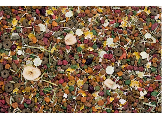 Versele-Laga Chinchilla Nature Original pokarm dla szynszyli 750g - Image 2