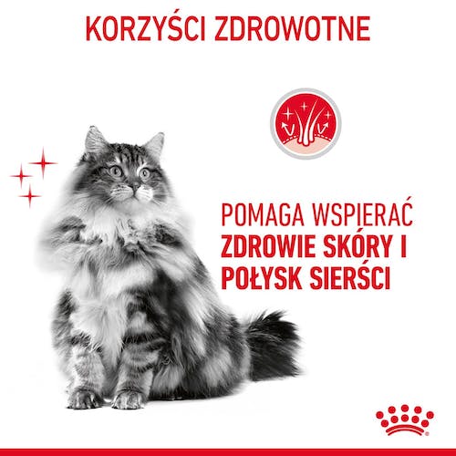 Royal Canin Hair & Skin Care karma mokra w galaretce dla kotów dorosłych, lśniąca sierść i zdrowa skóra saszetka 85g - Image 3