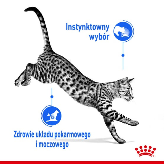 Royal Canin Indoor Sterilised Jelly karma mokra dla kotów dorosłych sterylizowanych, przebywających w domu saszetka 85g - Image 3