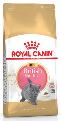 Royal Canin British Shorthair Kitten karma sucha dla kociąt, do 12 miesiąca, rasy brytyjski krótkowłosy 400g - Image 2