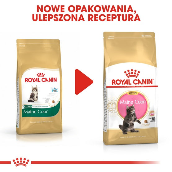 Royal Canin Maine Coon Kitten karma sucha dla kociąt, do 15 miesiąca, rasy maine coon 2kg - Image 3