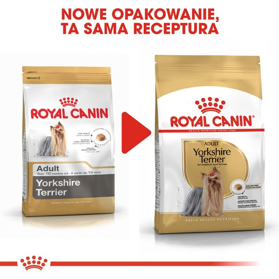 Royal Canin Yorkshire Terrier Adult karma sucha dla psów dorosłych rasy yorkshire terrier 1,5kg - Image 3