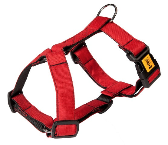 Dingo Szelki Guard dwupaskowe Scandi 2cm rozmiar S czerwone - Image 1