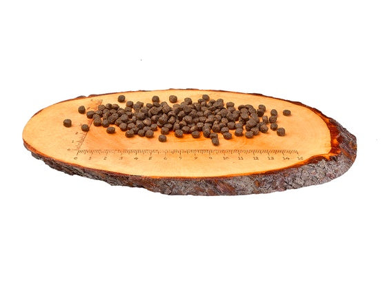 Carnilove Cat Salmon & Turkey for Kittens - łosoś i indyk 400g - Image 2