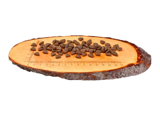Carnilove Cat Reindeer Energy & Outdoor - renifer 400g - Image 2
