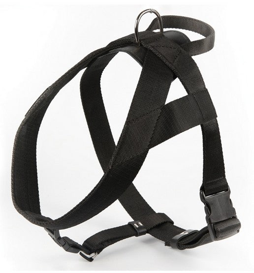 Dingo Szelki taśma z uchwytem 4cm czarne - Image 1