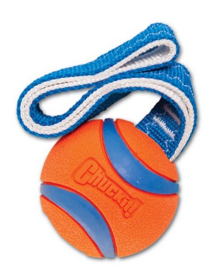 Chuckit! Ultra Tug Medium [231201] - Image 3