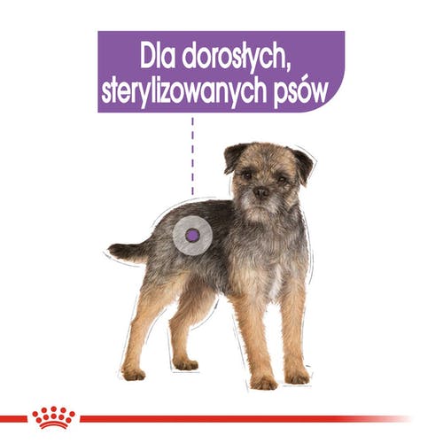 Royal Canin Sterilised karma mokra dla psów dorosłych, wszystkich ras po sterylizacji, pasztet saszetka 85g - Image 2