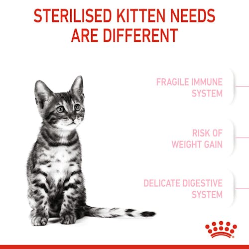 Royal Canin Kitten Sterilised karma sucha dla kociąt od 4 do 12 miesiąca życia, sterylizowanych 400g - Image 2