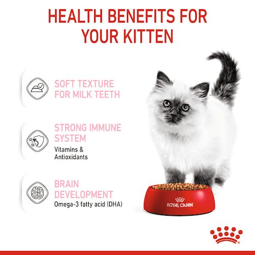 Royal Canin Kitten w galaretce karma mokra dla kociąt do 12 miesiąca życia saszetka 85g - Image 2