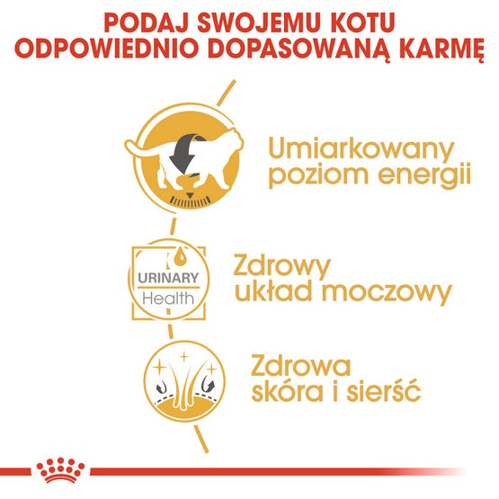 Royal Canin British Shorthair karma mokra w sosie dla kotów dorosłych rasy brytyjski krótkowłosy saszetka 85g - Image 3