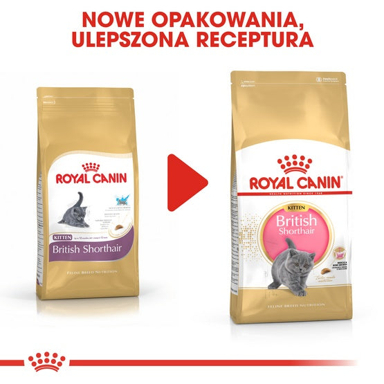 Royal Canin British Shorthair Kitten karma sucha dla kociąt, do 12 miesiąca, rasy brytyjski krótkowłosy 2kg - Image 3