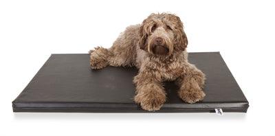Bia Bed Mattress Ortho Lounger Black – Also suitable for use in the crate