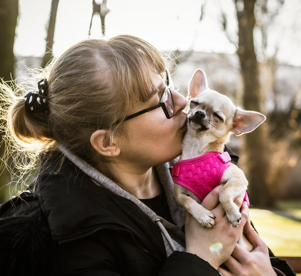Dingo Szelki bezuciskowe z dwupaskową regulacją S różowe - Image 3