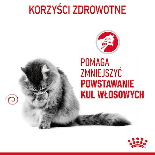 Royal Canin Hairball Care karma sucha dla kotów dorosłych, eliminacja kul włosowych 400g - Image 3