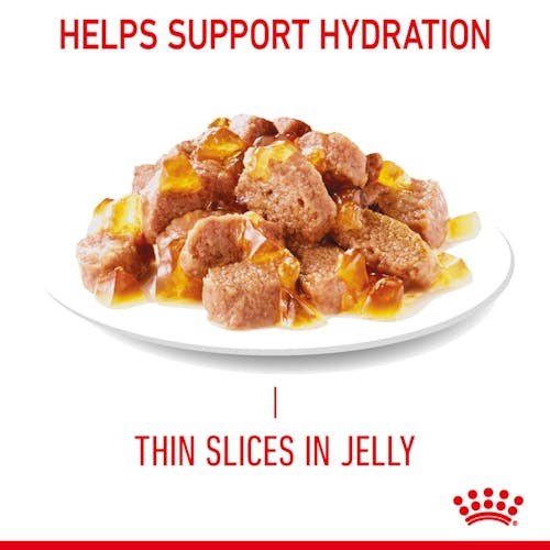 Royal Canin Light Weight Care w galaretce karma mokra dla kotów dorosłych, z tendencją do nadwagi saszetka 85g - Image 2