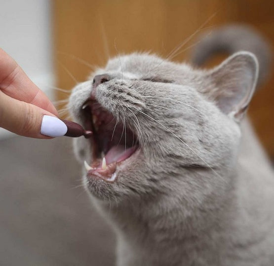 UrinoVet Cat Dilution 45 kapsułek - Image 2