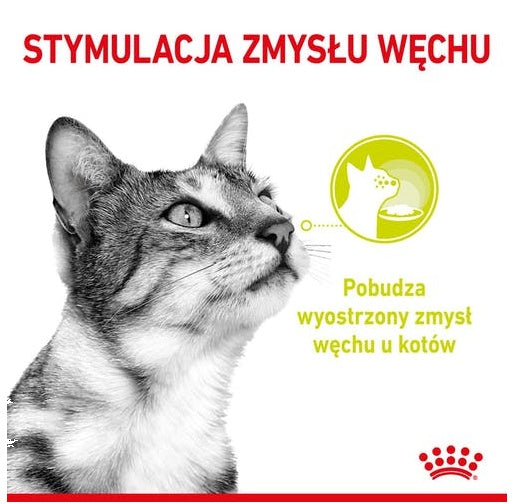 Royal Canin Sensory Smell w sosie karma mokra dla kotów dorosłych saszetka 85g - Image 2
