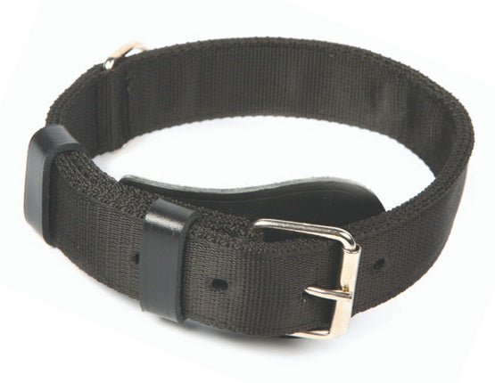 Dingo Obroża specjalna z taśmy 4,0x55-65cm czarna - Image 1