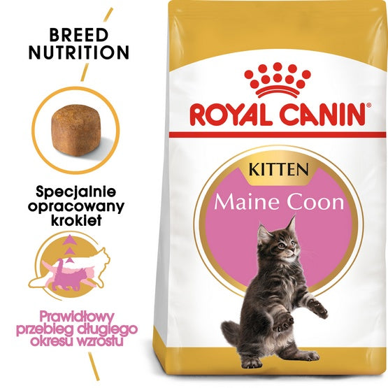 Royal Canin Maine Coon Kitten karma sucha dla kociąt, do 15 miesiąca, rasy maine coon 4kg - Image 1