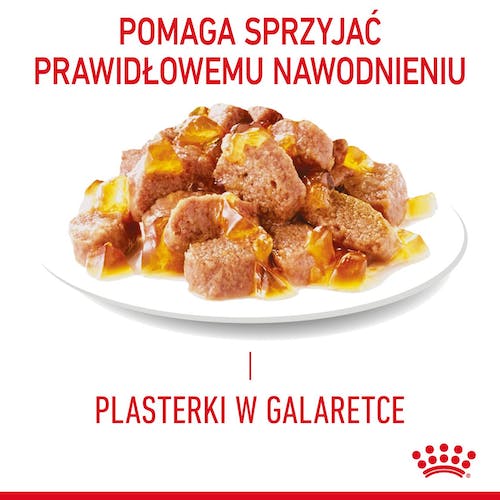 Royal Canin Hair & Skin Care karma mokra w galaretce dla kotów dorosłych, lśniąca sierść i zdrowa skóra saszetka 85g - Image 2