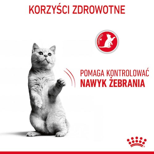 Royal Canin Appetite Control Care karma sucha dla kotów dorosłych, domagających się jedzenia 2kg - Image 3
