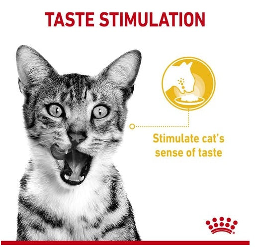 Royal Canin Sensory Taste w sosie karma mokra dla kotów dorosłych saszetka 85g - Image 2